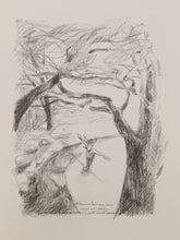 Load image into Gallery viewer, Valo ja varjo/Light and Shadow