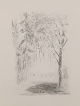 Load image into Gallery viewer, Pihlaja ja Pilvi/Rowan and the Cloud