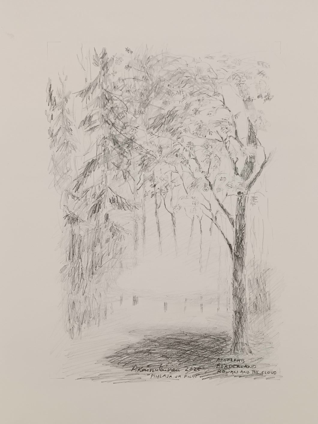 Pihlaja ja Pilvi/Rowan and the Cloud